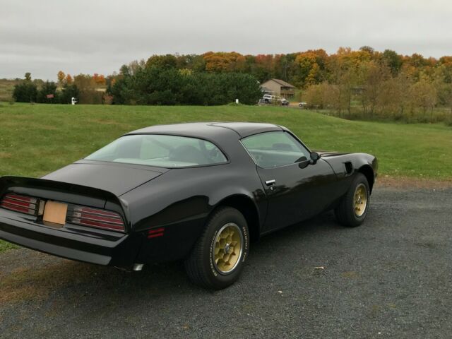 Pontiac Trans Am 1976 image number 14