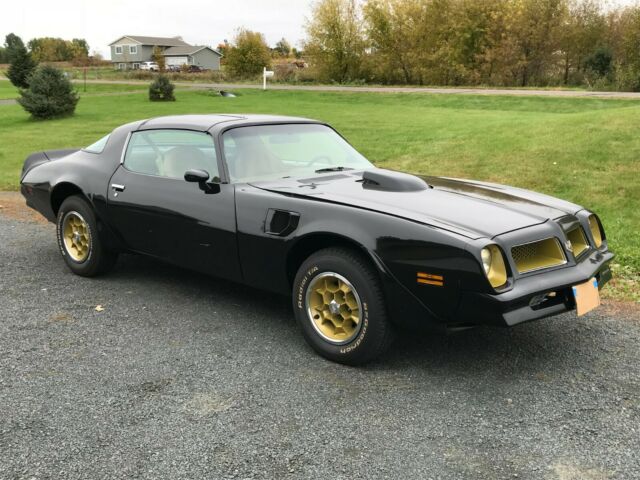 Pontiac Trans Am 1976 image number 15