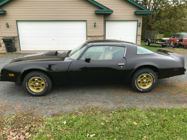 Pontiac Trans Am 1976 image number 16