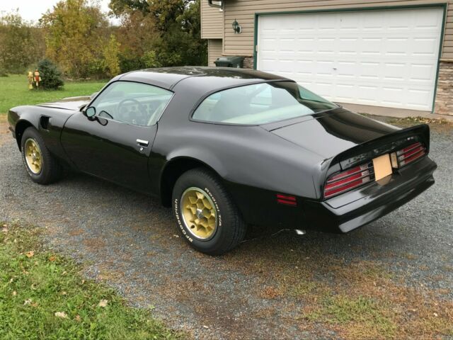 Pontiac Trans Am 1976 image number 17