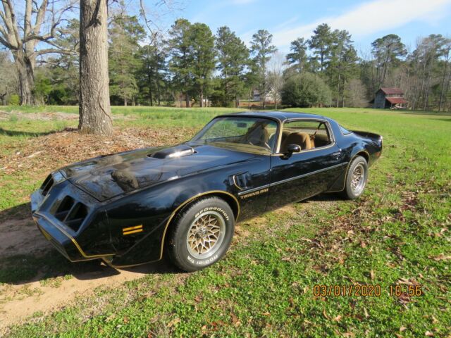 Pontiac Trans Am 1979 image number 0