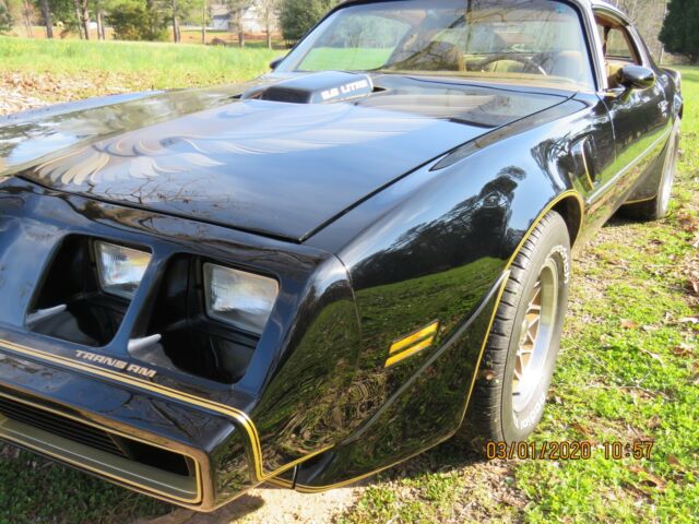 Pontiac Trans Am 1979 image number 30