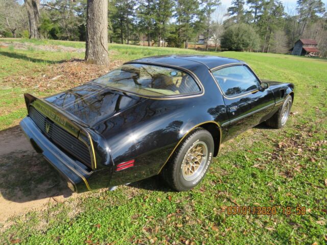 Pontiac Trans Am 1979 image number 31