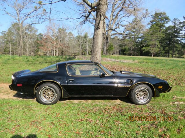 Pontiac Trans Am 1979 image number 32