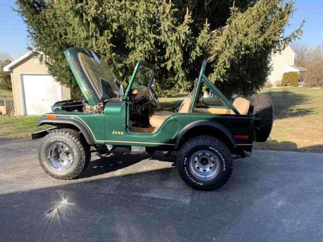 Jeep CJ-5 1979 image number 14