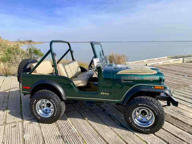 Jeep CJ-5 1979 image number 15