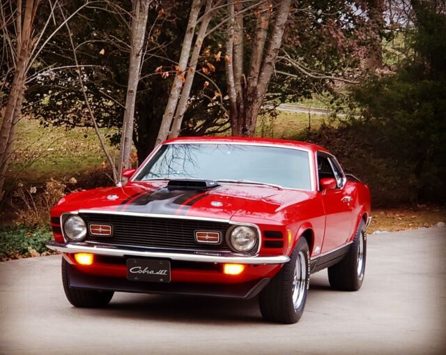 Ford Mustang 1970 image number 0