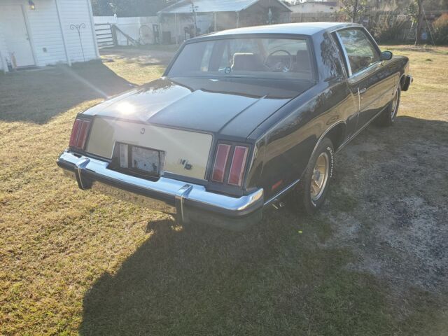 Oldsmobile Cutlass 1979 image number 11