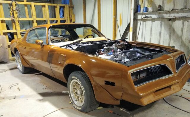 Pontiac Trans Am 1978 image number 22