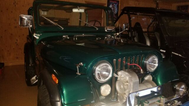 Jeep CJ 1974 image number 1