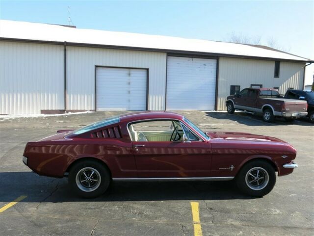 Ford Mustang Fastback, 1965 image number 11