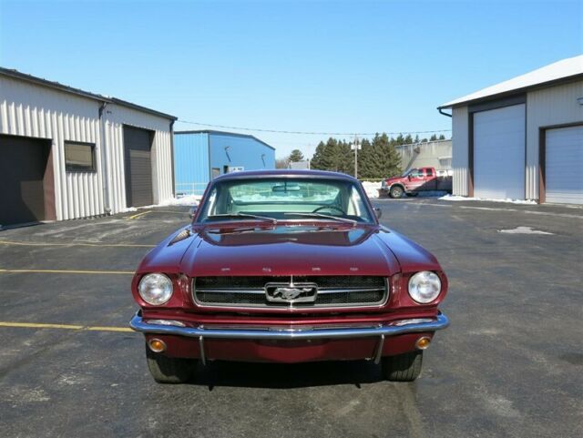 Ford Mustang Fastback, 1965 image number 15