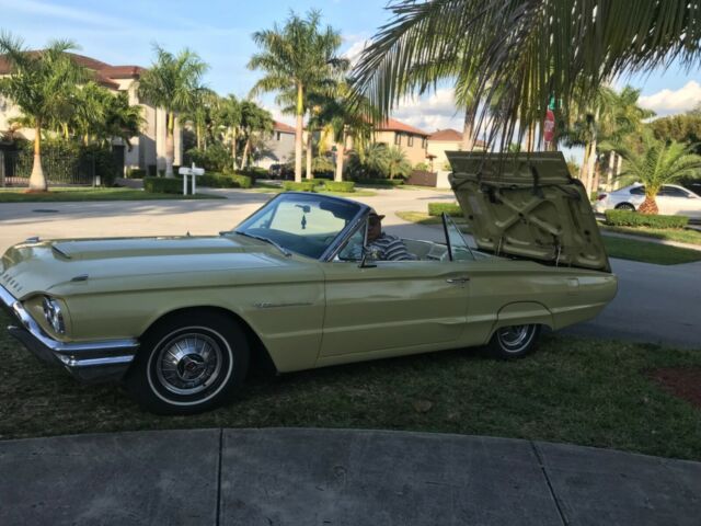 Ford Thunderbird 1964 image number 23