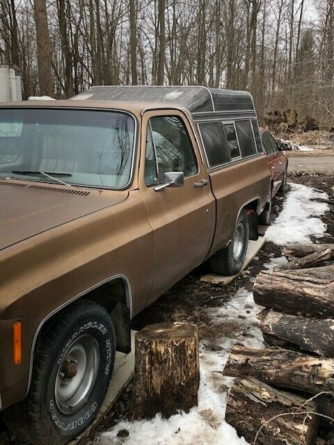 Chevrolet C/K Pickup 1500 1979 image number 1