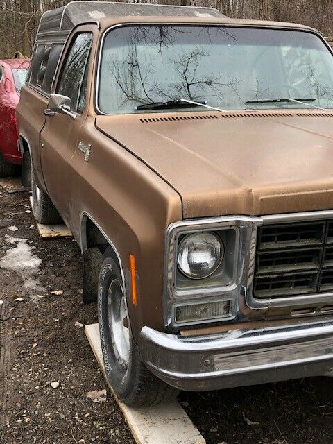 Chevrolet C/K Pickup 1500 1979 image number 2