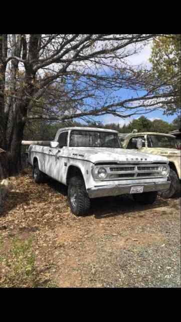 Dodge w200 1967 image number 19