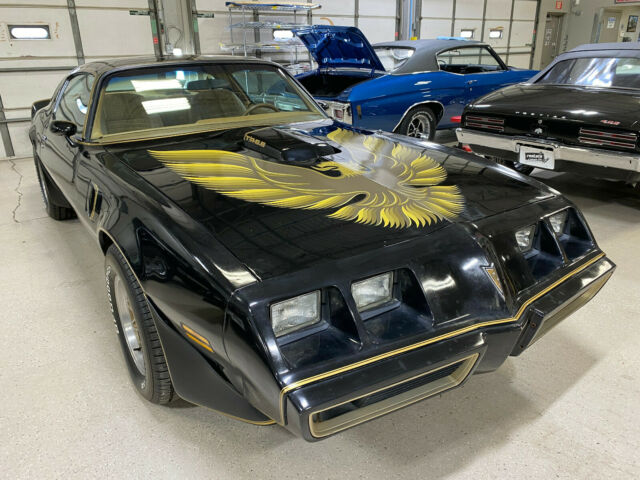 Pontiac Trans Am 1979 image number 1