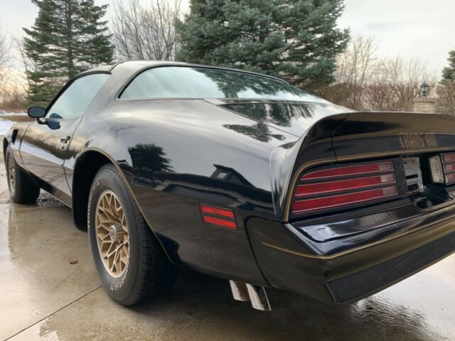 Pontiac Trans Am 1978 image number 11