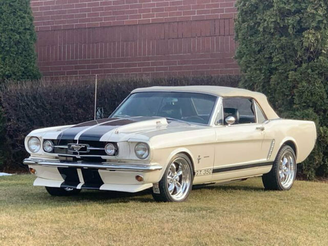 Ford Mustang 1965 image number 14