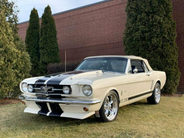 Ford Mustang 1965 image number 16