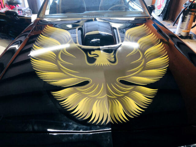 Pontiac Trans Am 1979 image number 30