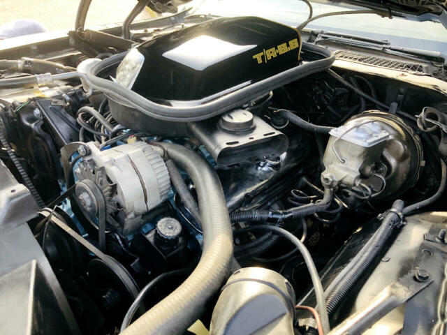 Pontiac Trans Am 1979 image number 36