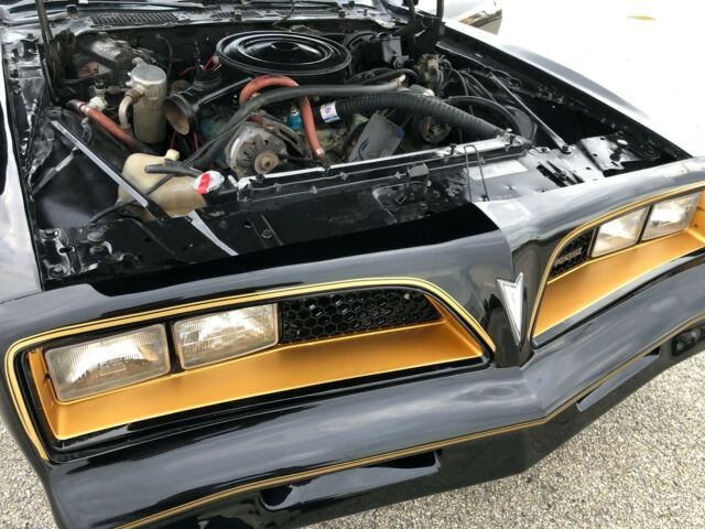 Pontiac Trans Am 1978 image number 22