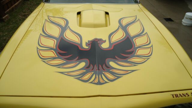 Pontiac Trans Am 1977 image number 19