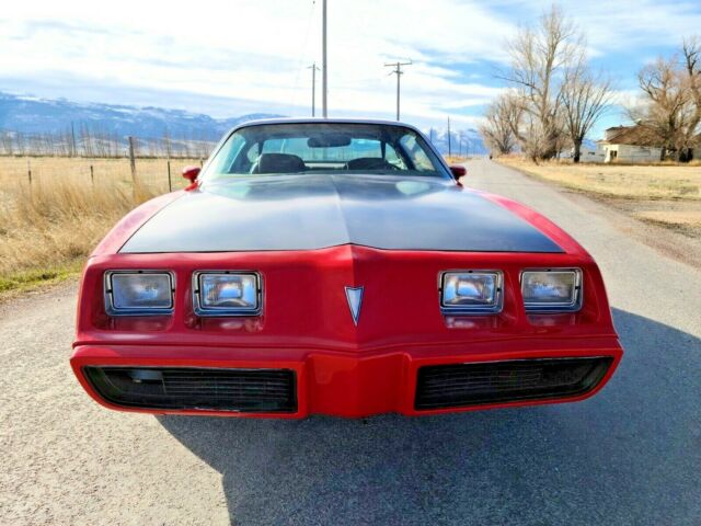 Pontiac Firebird 1979 image number 8