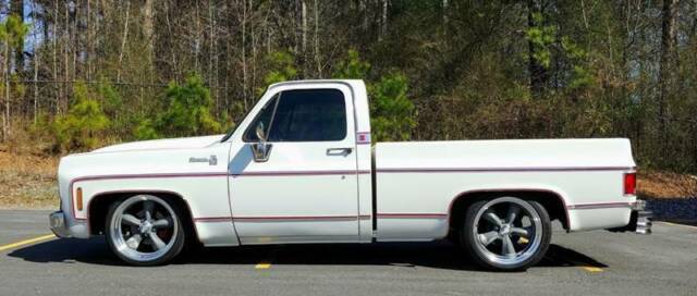 Chevrolet Silverado 1500 1977 image number 4