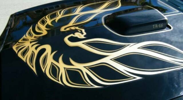 Pontiac Trans Am 1977 image number 2