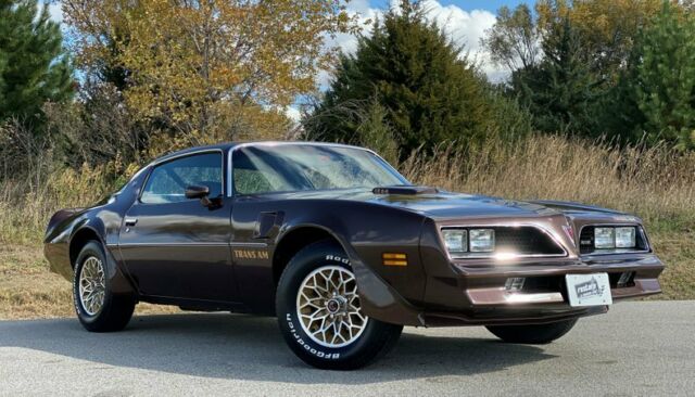 Pontiac Trans Am 1977 image number 9