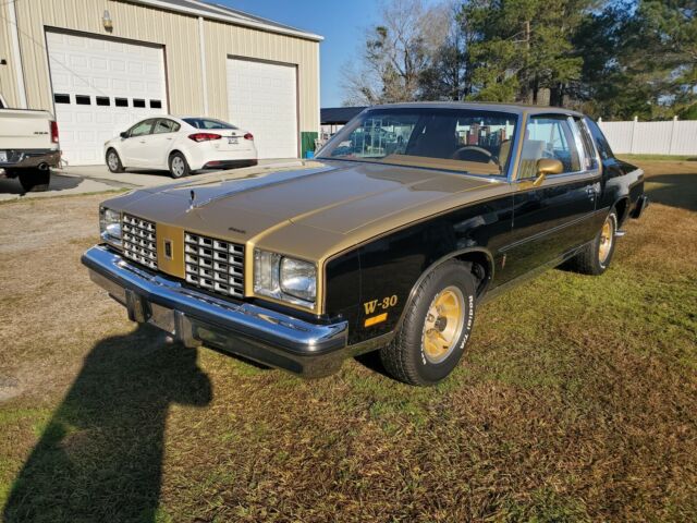 Oldsmobile hurst 1979 image number 0