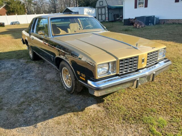 Oldsmobile hurst 1979 image number 1