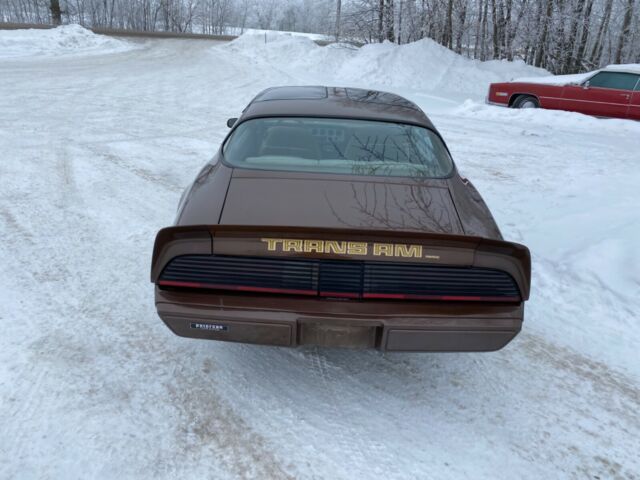 Pontiac Trans Am 1979 image number 16