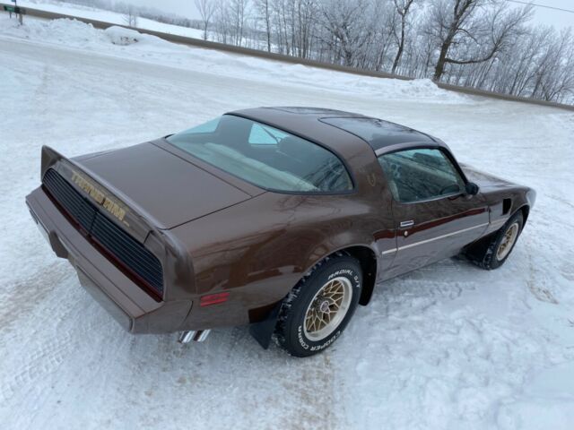 Pontiac Trans Am 1979 image number 17