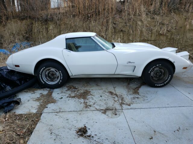 Chevrolet Corvette 1976 image number 2