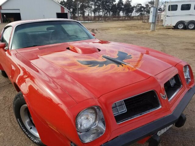 Pontiac Trans Am 1975 image number 0