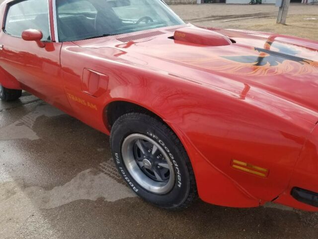 Pontiac Trans Am 1975 image number 14