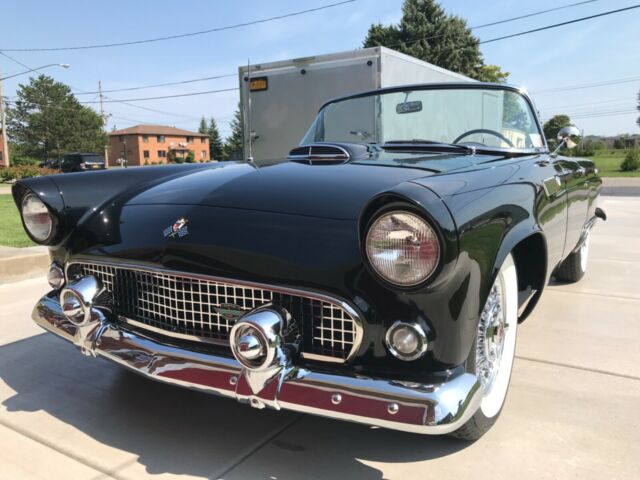 Ford Thunderbird 1955 image number 10