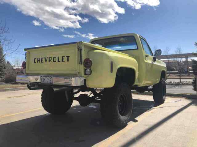 Chevrolet C10/K10 1975 image number 30