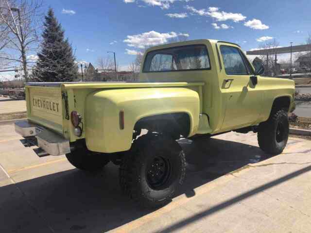 Chevrolet C10/K10 1975 image number 31