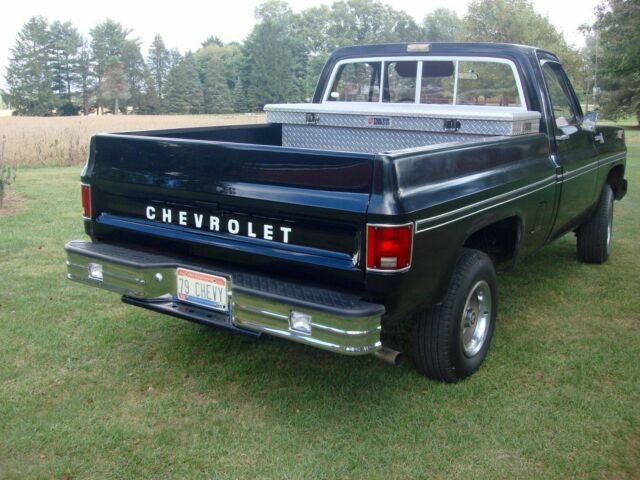 Chevrolet C-10 1979 image number 18