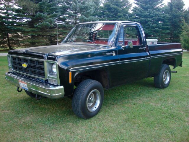 Chevrolet C-10 1979 image number 20