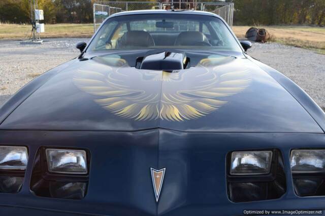 Pontiac Trans Am 1979 image number 12