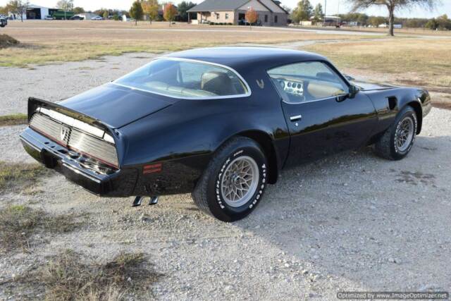 Pontiac Trans Am 1979 image number 16