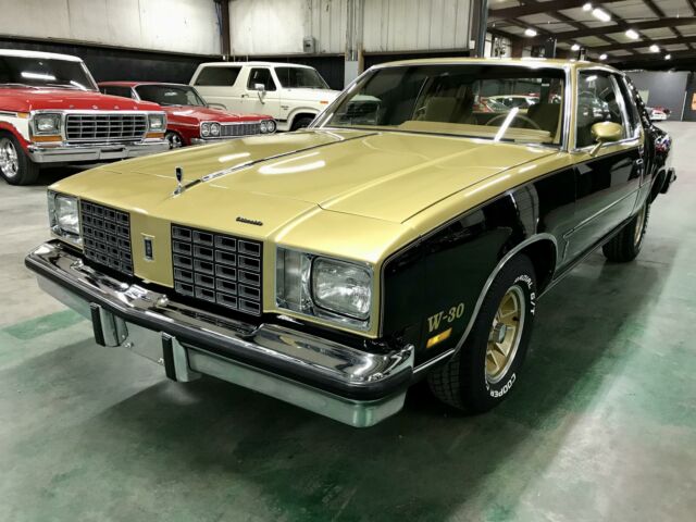 Oldsmobile Cutlass 1979 image number 0