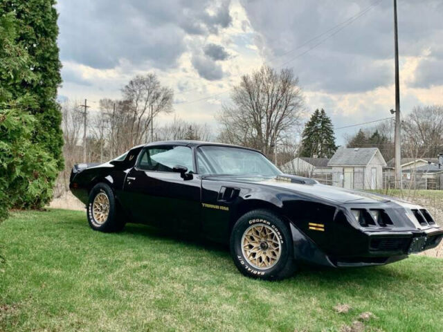 Pontiac Trans Am 1979 image number 6