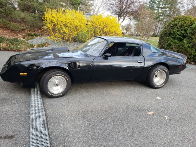 Pontiac Trans Am 1979 image number 25