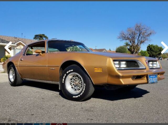 Pontiac Firebird 1977 image number 1